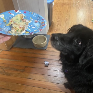 Fundraising Page: Alexandra Rowland